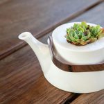 Pexels photo 11831616